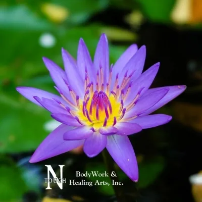 Inside NTouch BodyWork & Healing Arts