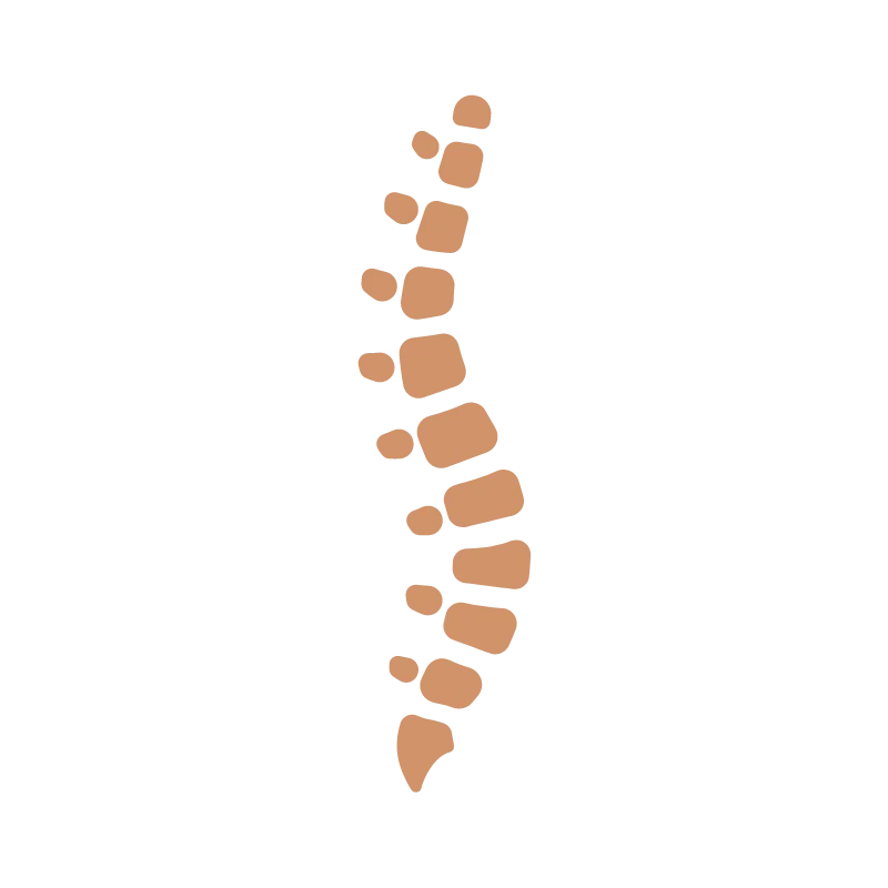 Chiropractic